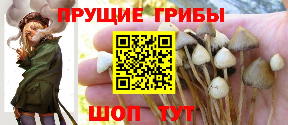 сколько стоит  Галлюциногенные грибы Magic Shrooms  Вход с VPN  Волжский 